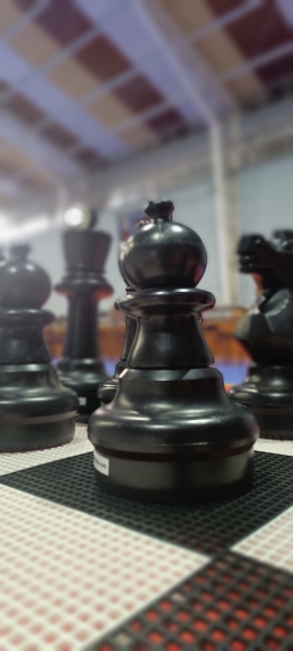 Día de las Matemáticas 2025